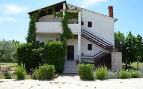Apartments Niki